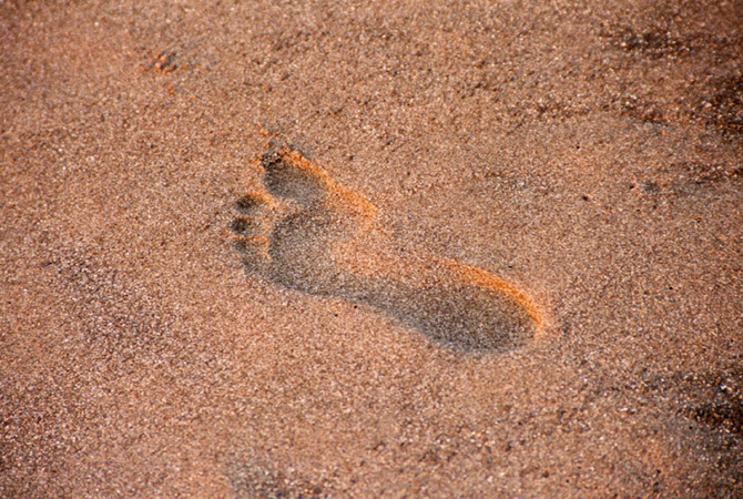 footprint