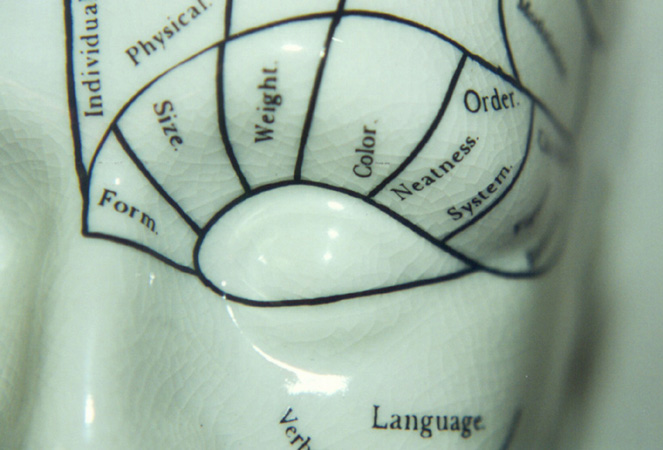 phrenology