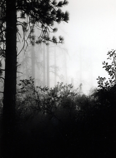 los padres nat'l forest