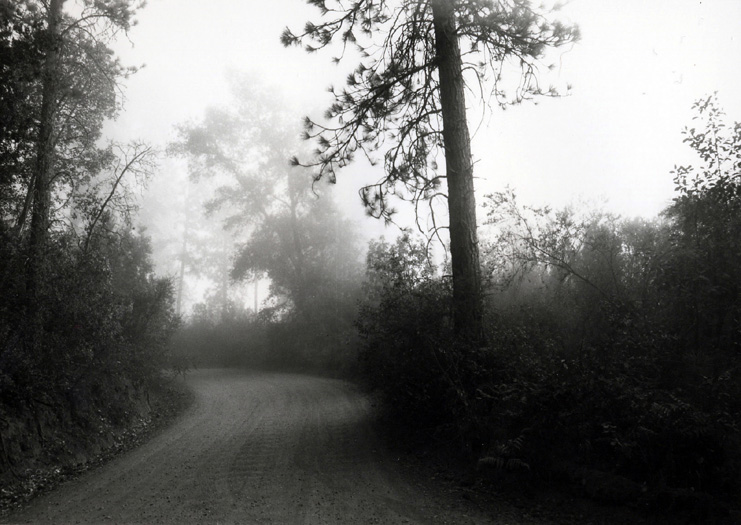 los padres nat'l forest