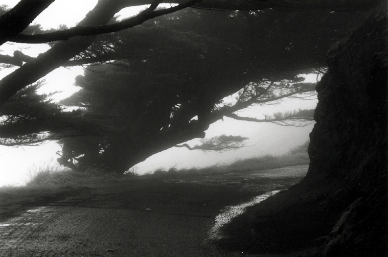 point reyes nat'l seashore