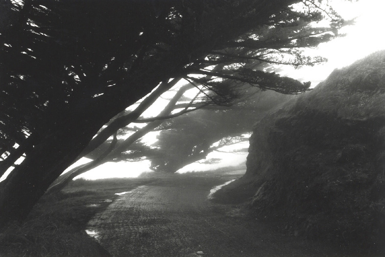 point reyes nat'l seashore