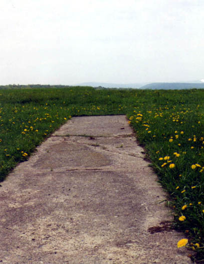 mount pleasant, ithaca