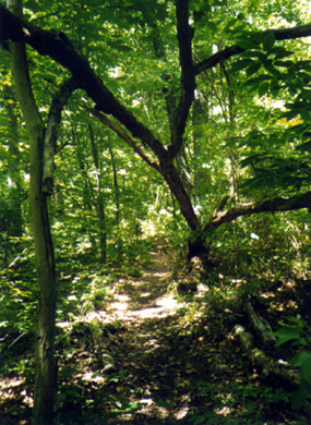 snake den state park