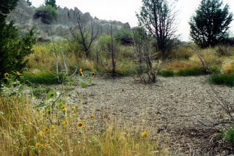 badlands nat'l park