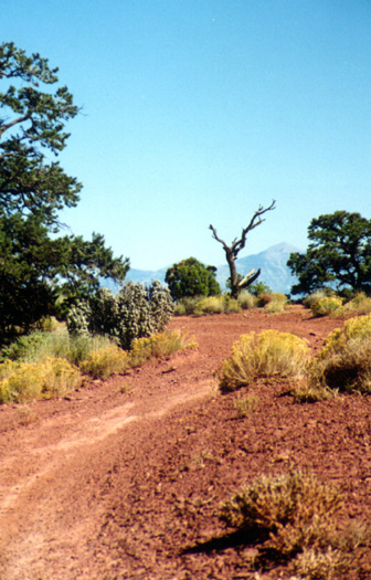 capitol reef nat'l park